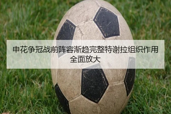 申花争冠战前阵容渐趋完整特谢拉组织作用全面放大